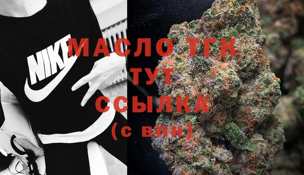 индика Армянск