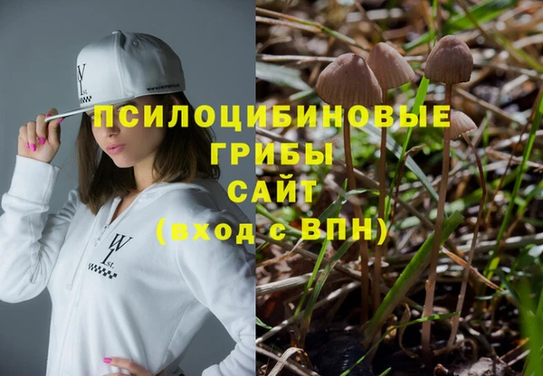 индика Армянск