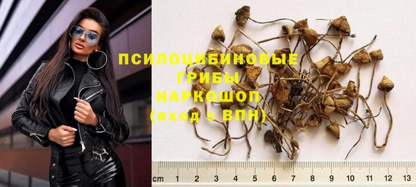 МДПВ Арсеньев