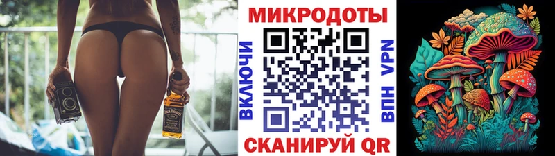 Псилоцибиновые грибы GOLDEN TEACHER Багратионовск